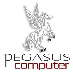 Pegasus Computer Ltd photo